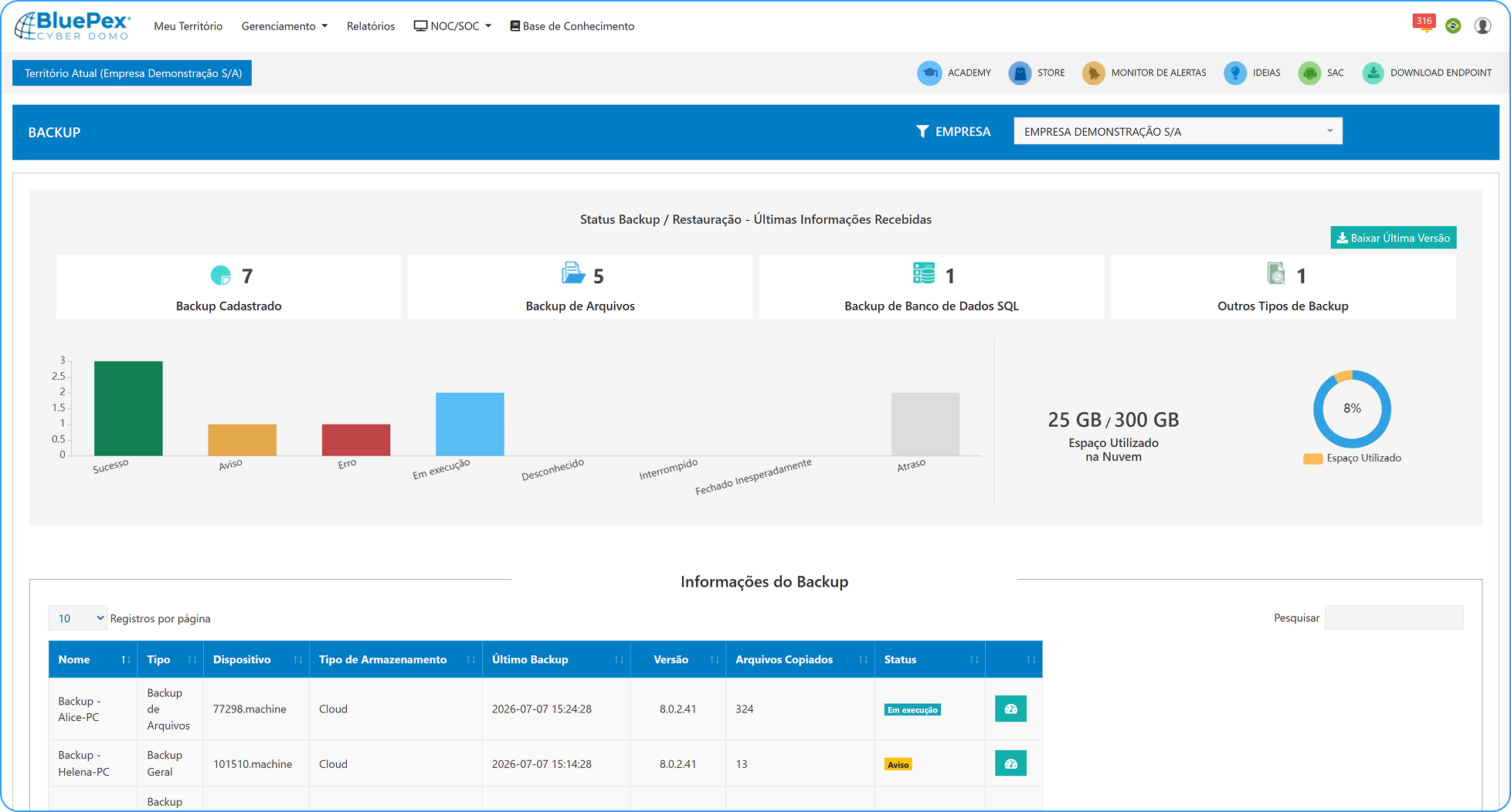 Dashboard BluePex Cloud Backup